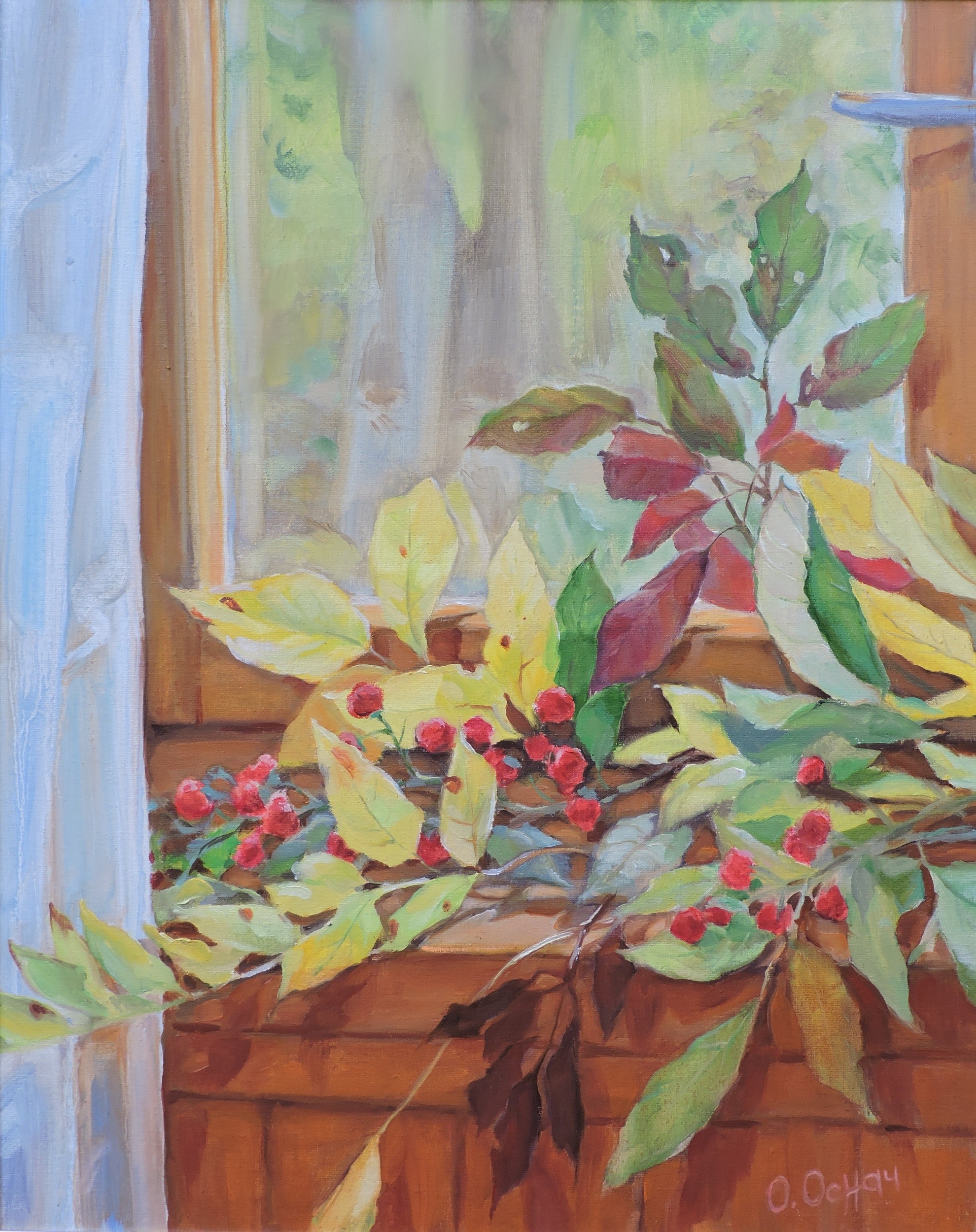 Procach Olesia, Color in the window Procach Olesia, Color in the window