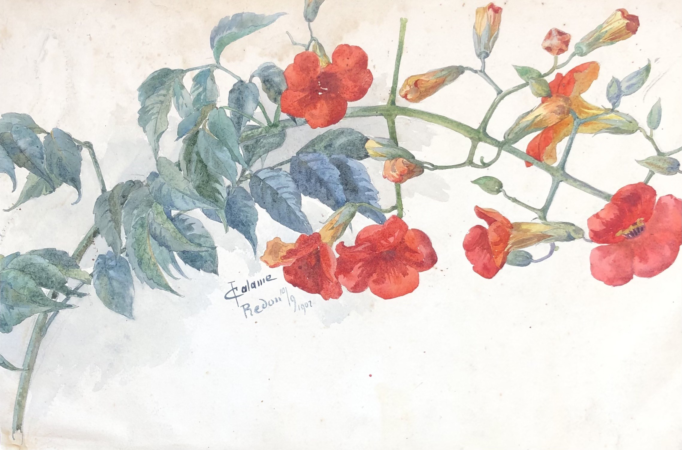 Juliette Calame, Branche fleurie Juliette Calame, Branche fleurie