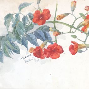 Zeichnungen, Branche fleurie, Juliette Calame