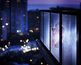 Fotografien, The spy, David Drebin