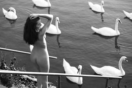 Photographie, Swan's lake, Majo Jurcik
