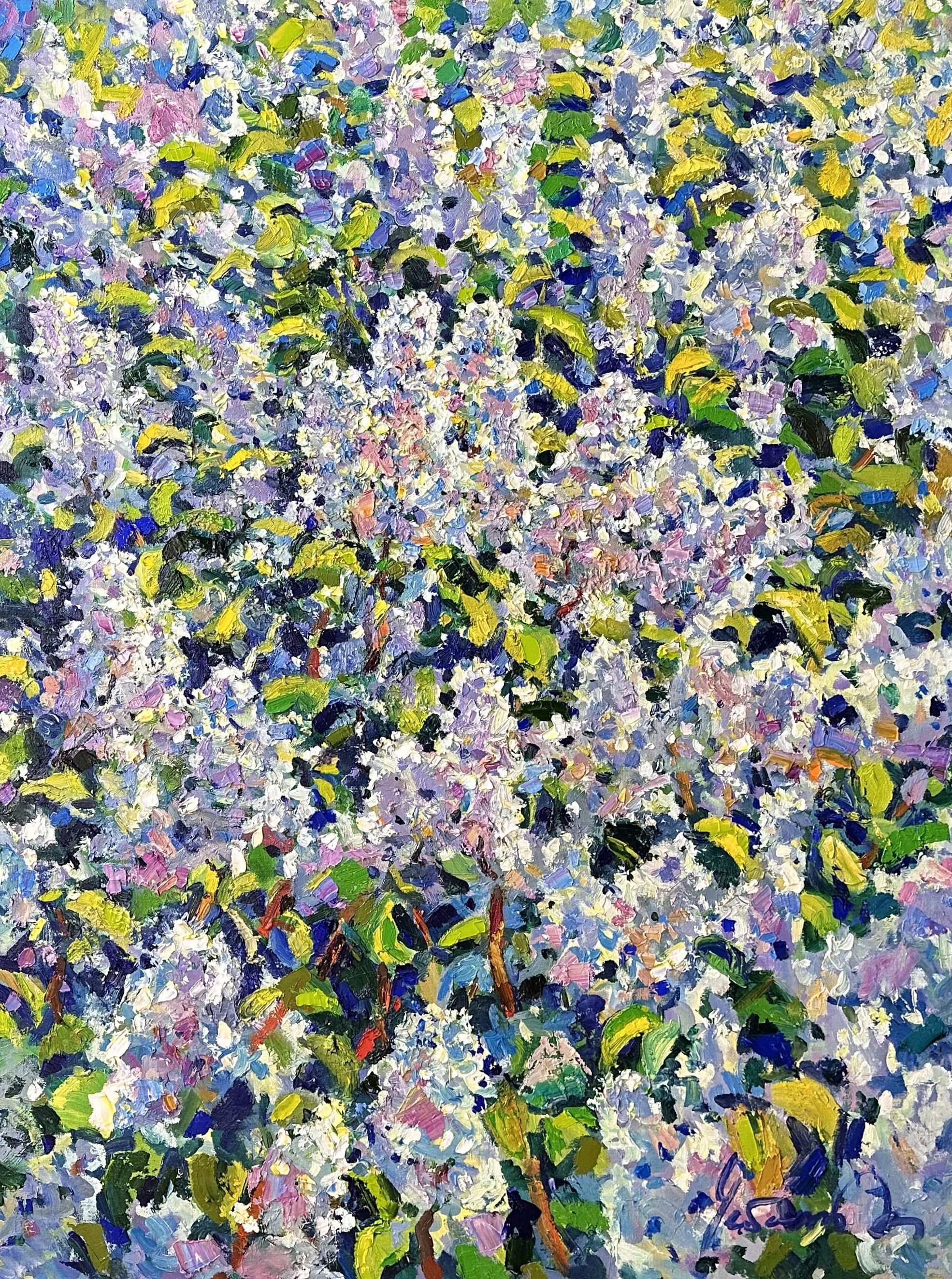 Andrii Chebotaru, Lilac Andrii Chebotaru, Lilac