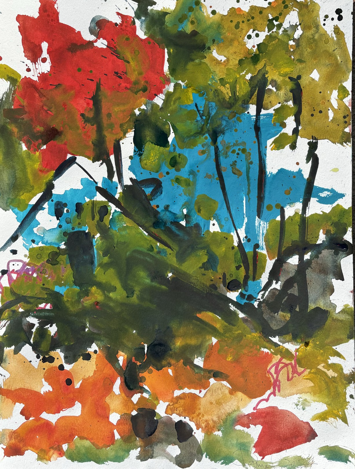 Daniel Clarke, Fall Colors New England Daniel Clarke, Fall Colors New England