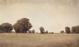Painting, Country Afternoon 241020, Don Bishop