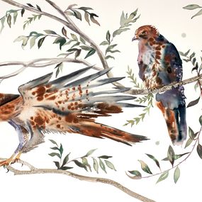 Gemälde, Red-Tailed Hawks No. 2, Elizabeth Becker