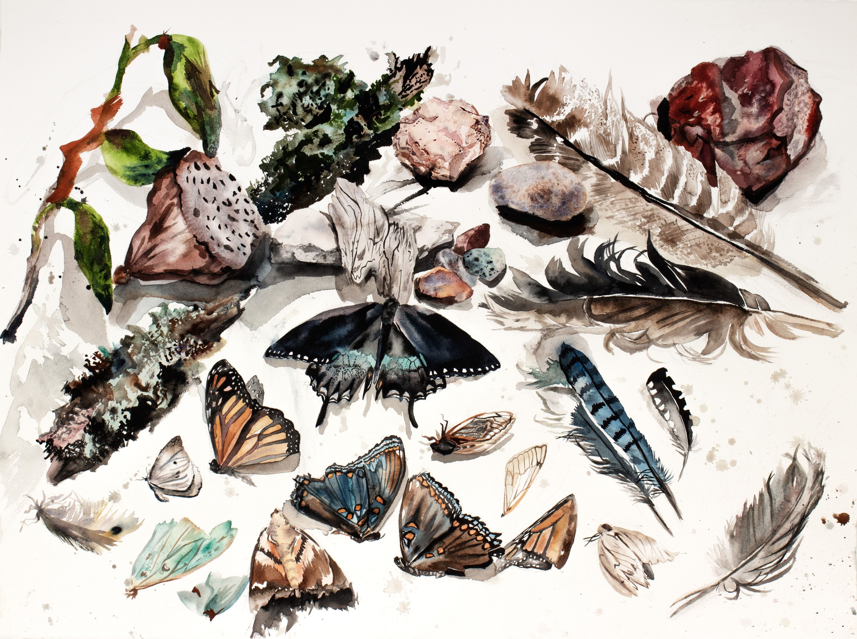 Elizabeth Becker, Nature Collection No. 2 Elizabeth Becker, Nature Collection No. 2