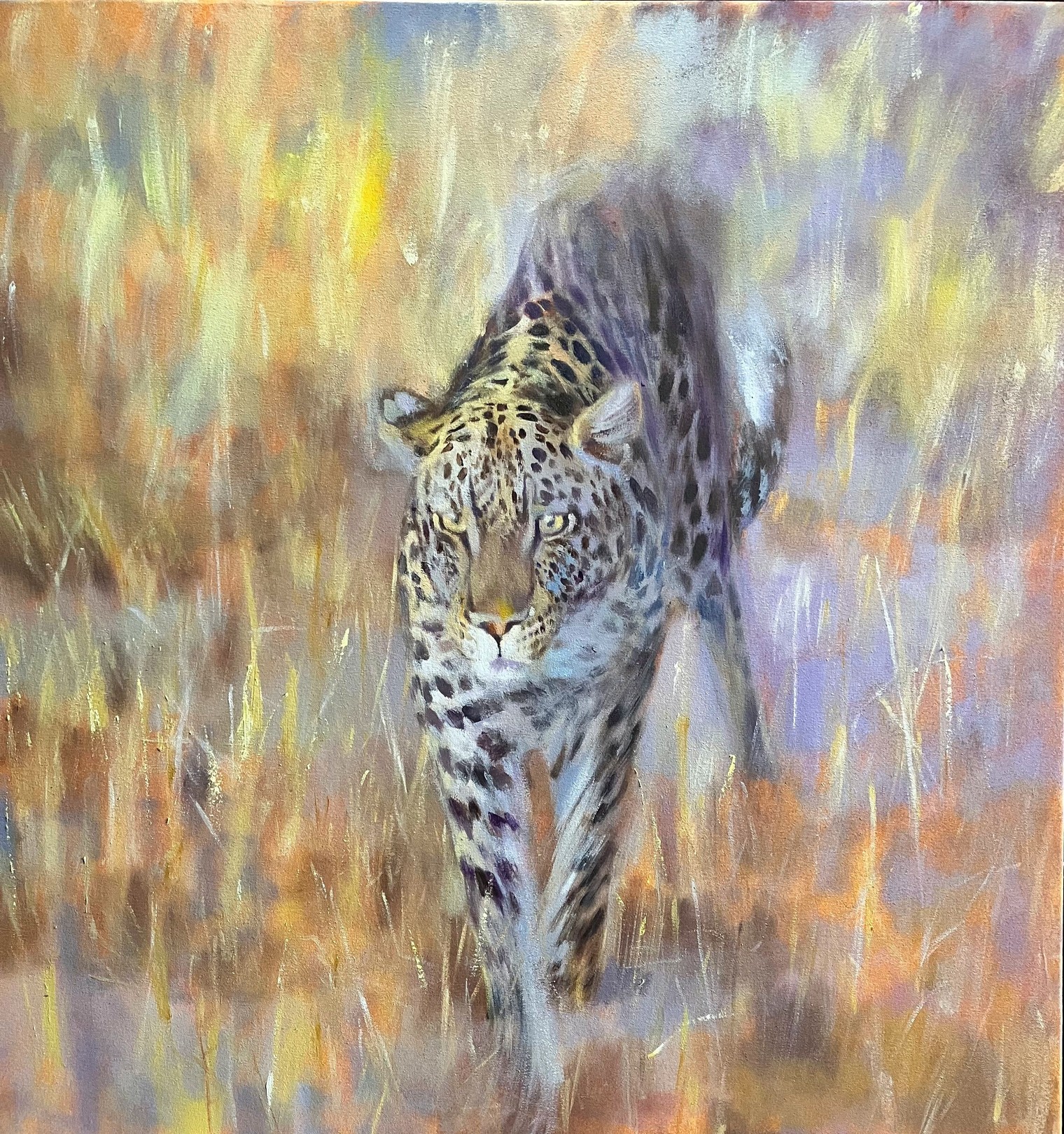 John Welsh, Savuti Leopard at Dusk John Welsh, Savuti Leopard at Dusk