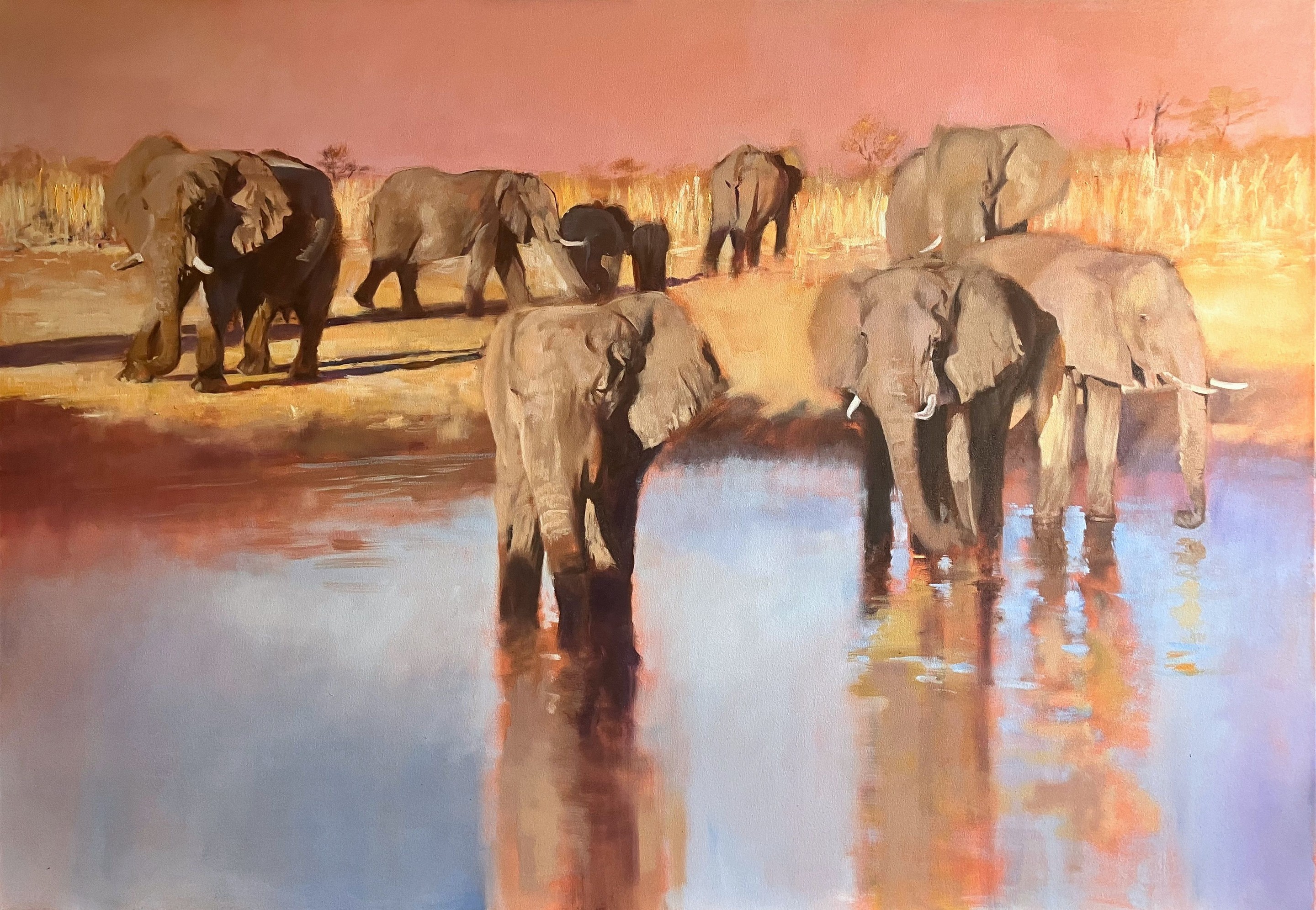 John Welsh, Elephants at Hyena Pan John Welsh, Elephants at Hyena Pan