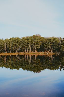 Photography, Nature Symmetry, Arantza NT Photography