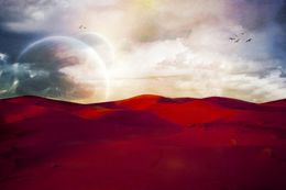 Fotografien, Sunset on the Sahara III, Viet Ha Tran