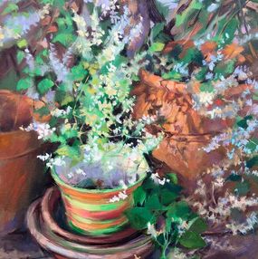 Peinture, Fallopia, Procach Olesia