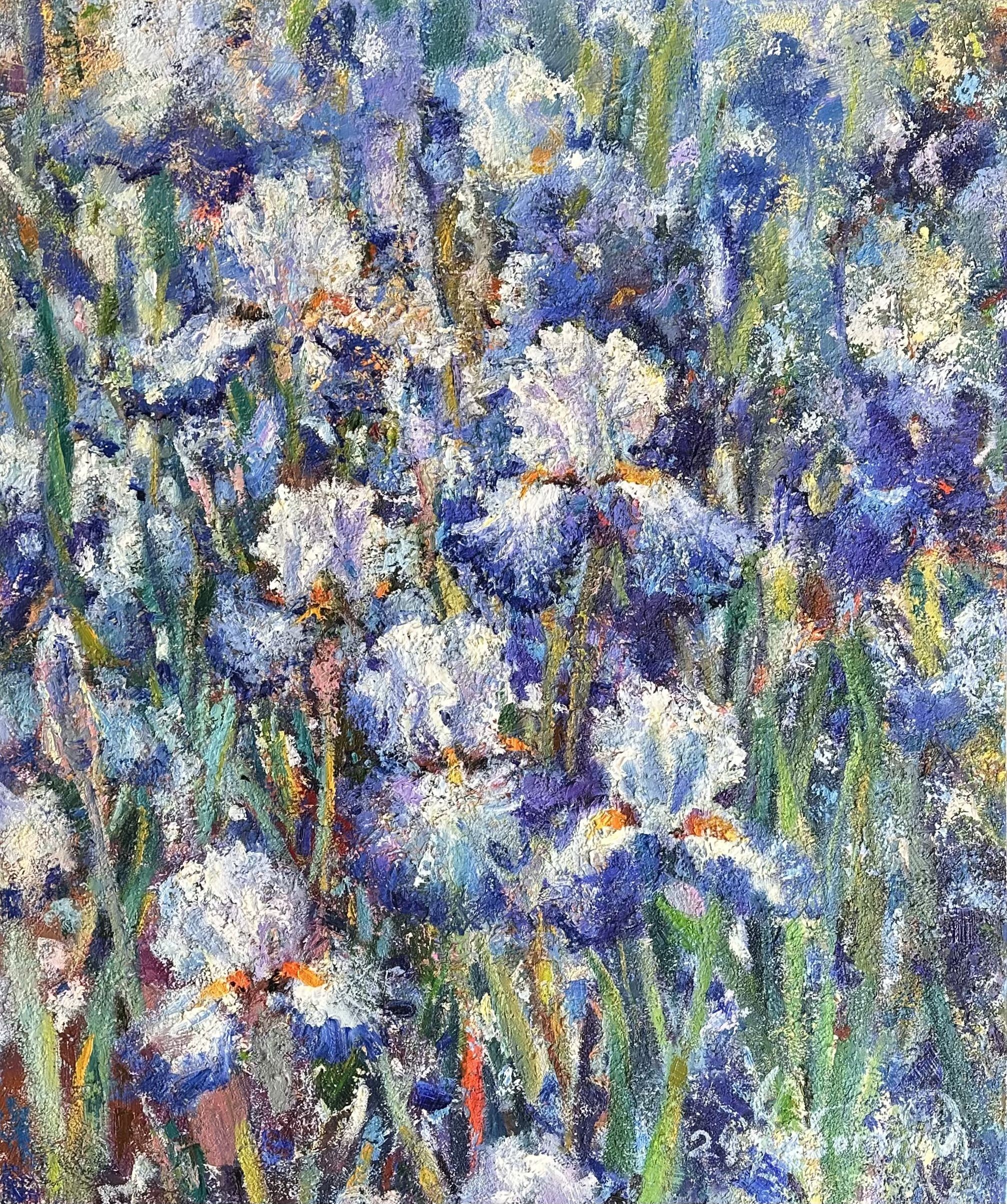 Andrii Chebotaru, Irises Andrii Chebotaru, Irises