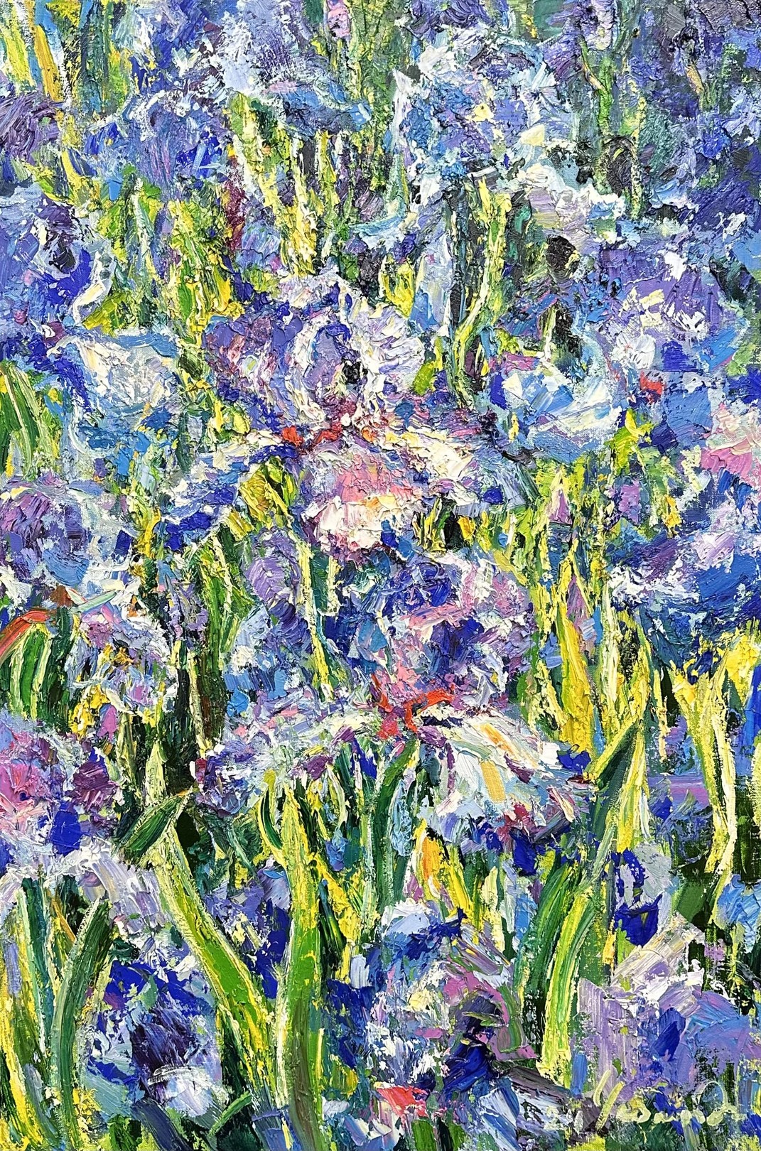 Andrii Chebotaru, Irises Andrii Chebotaru, Irises
