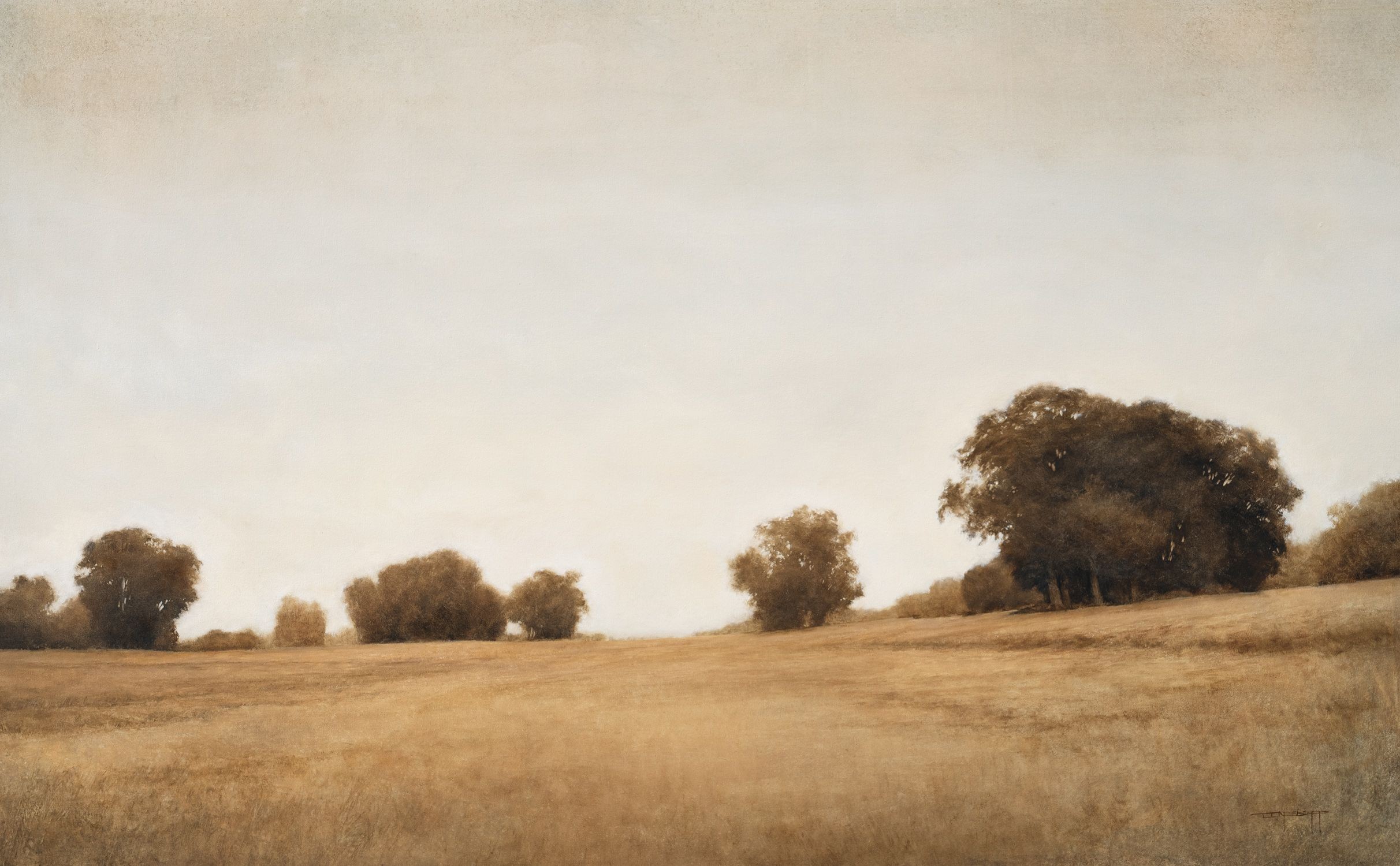 Don Bishop, Summer Oak Trees 240914 Don Bishop, Summer Oak Trees 240914