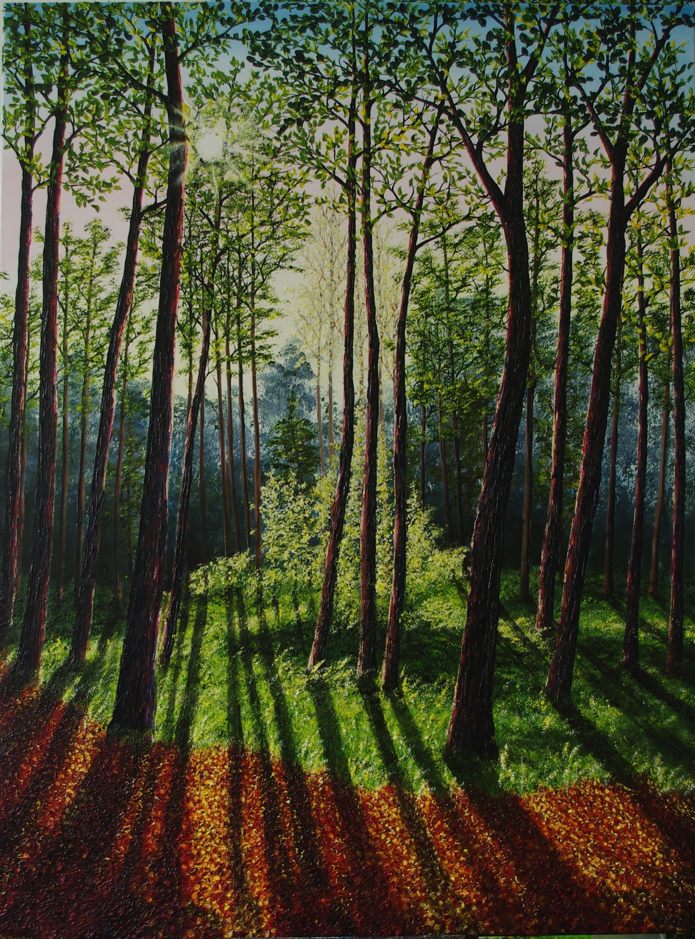 Hazel Thomson, Woodland Shadows Hazel Thomson, Woodland Shadows
