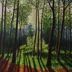 Painting, Woodland Shadows, Hazel Thomson