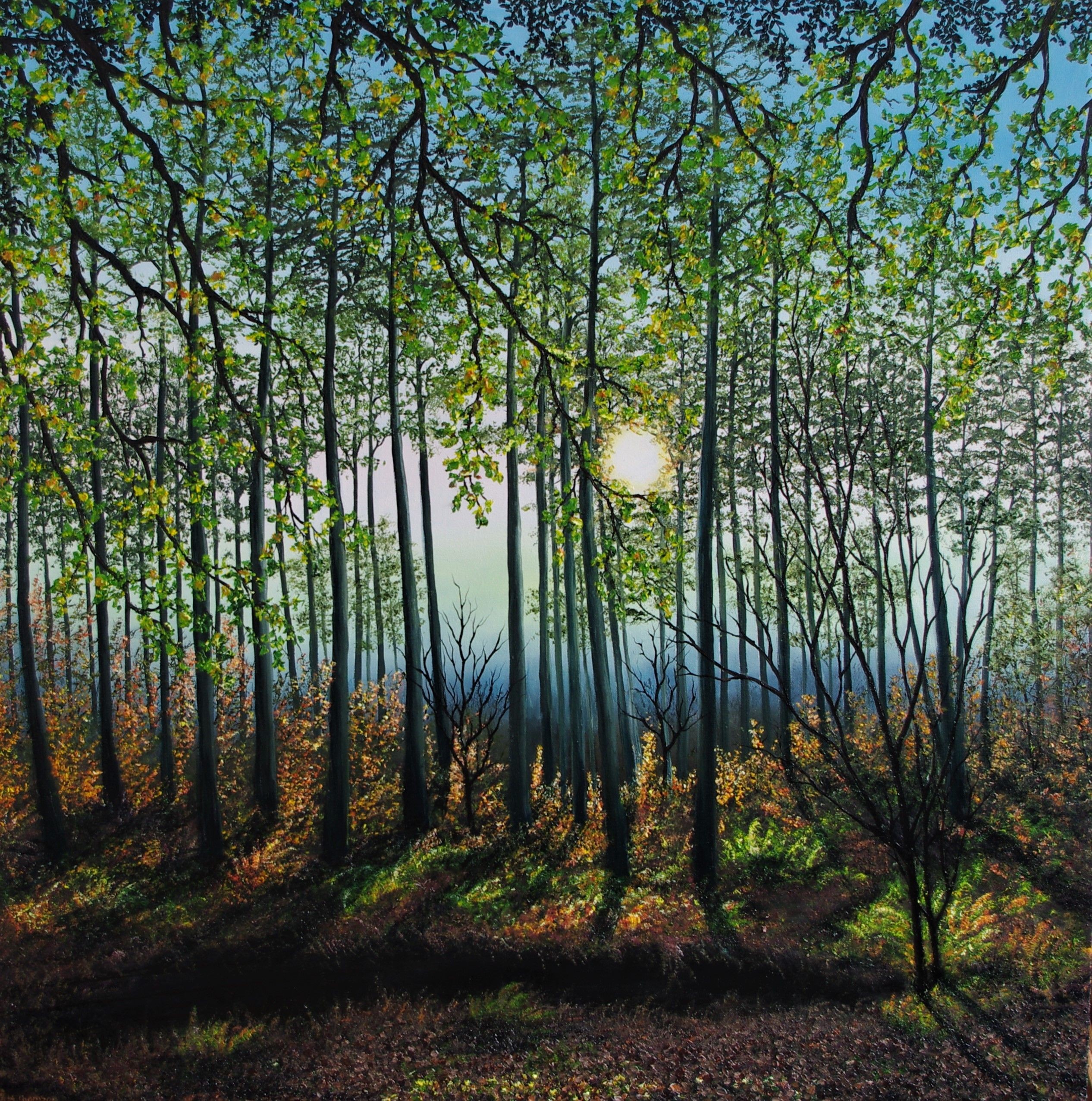 Hazel Thomson, Tranquil Evening in The Forest Hazel Thomson, Tranquil Evening in The Forest