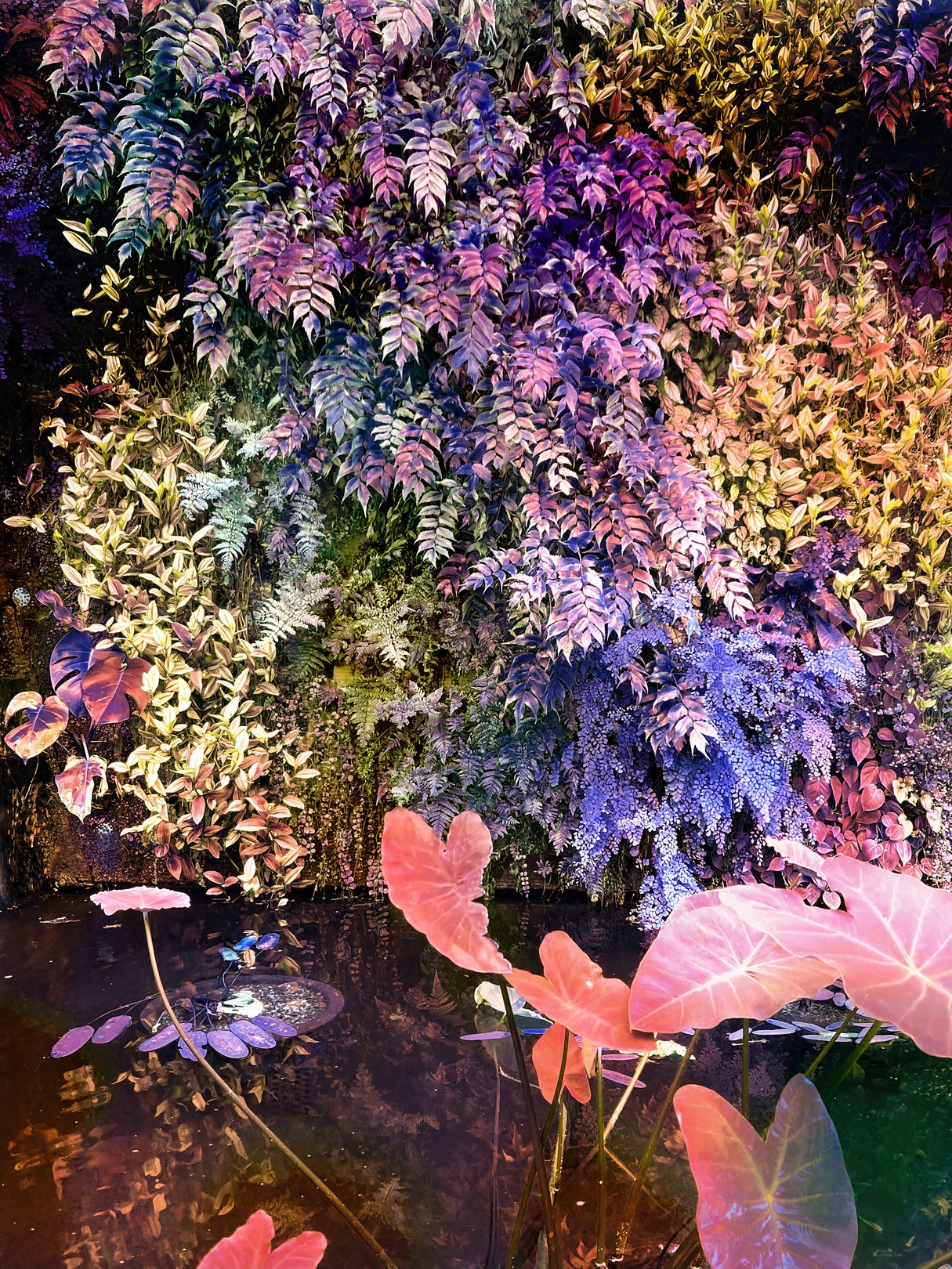 Viet Ha Tran, Secret Garden V Viet Ha Tran, Secret Garden V