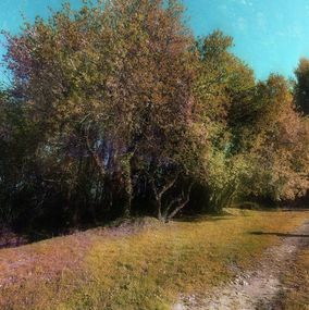 Photography, Only one road, Viet Ha Tran