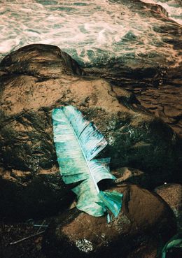 Fotografien, Ojalá, Rodrigo