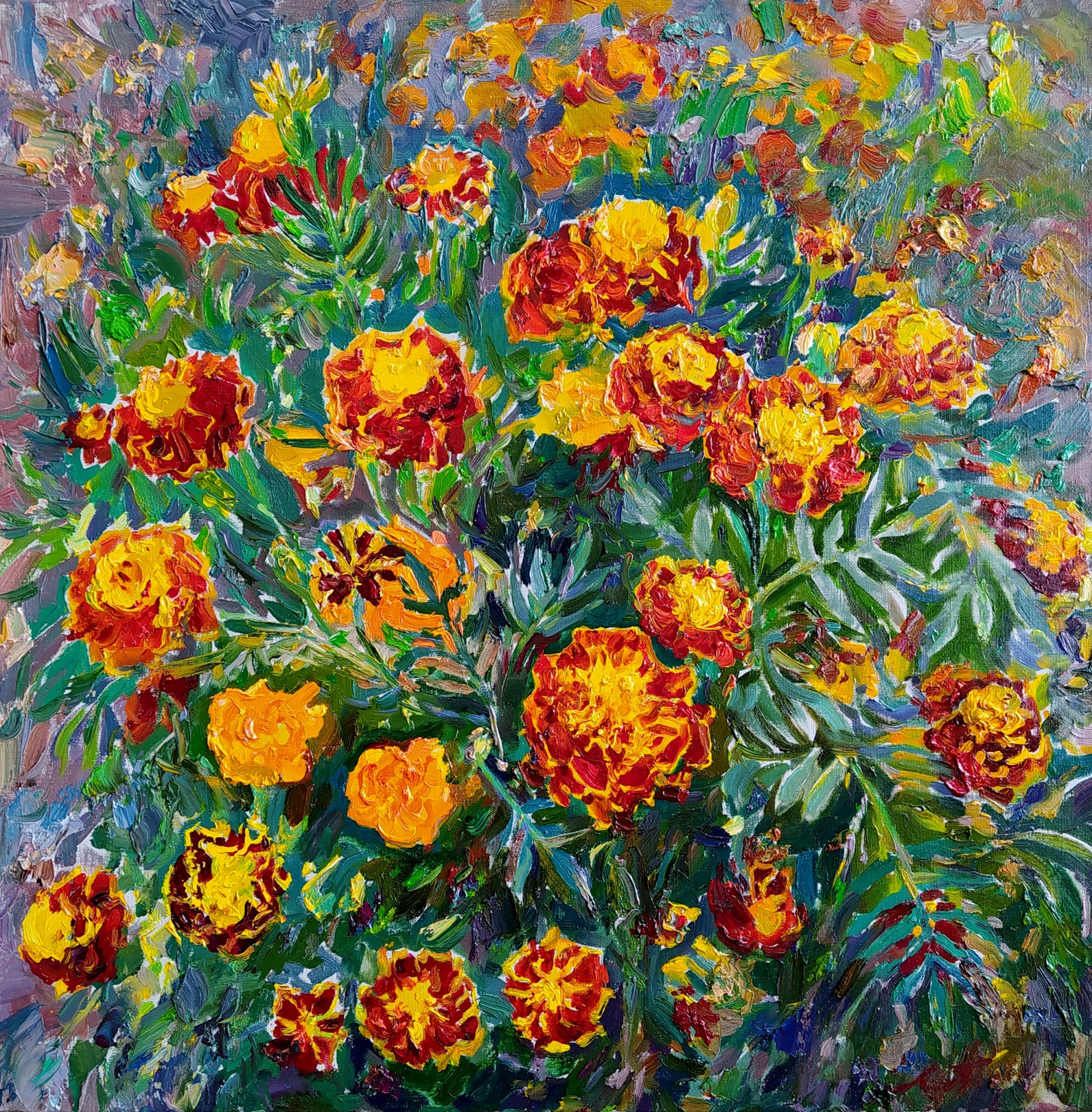 Pavlenko Leonid, Marigold Pavlenko Leonid, Marigold