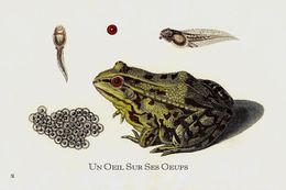 Print, Un œil sur ses yeux, Thierry Robert