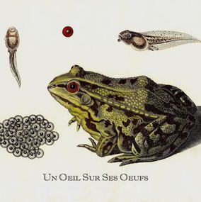 Print, Un œil sur ses yeux, Thierry Robert