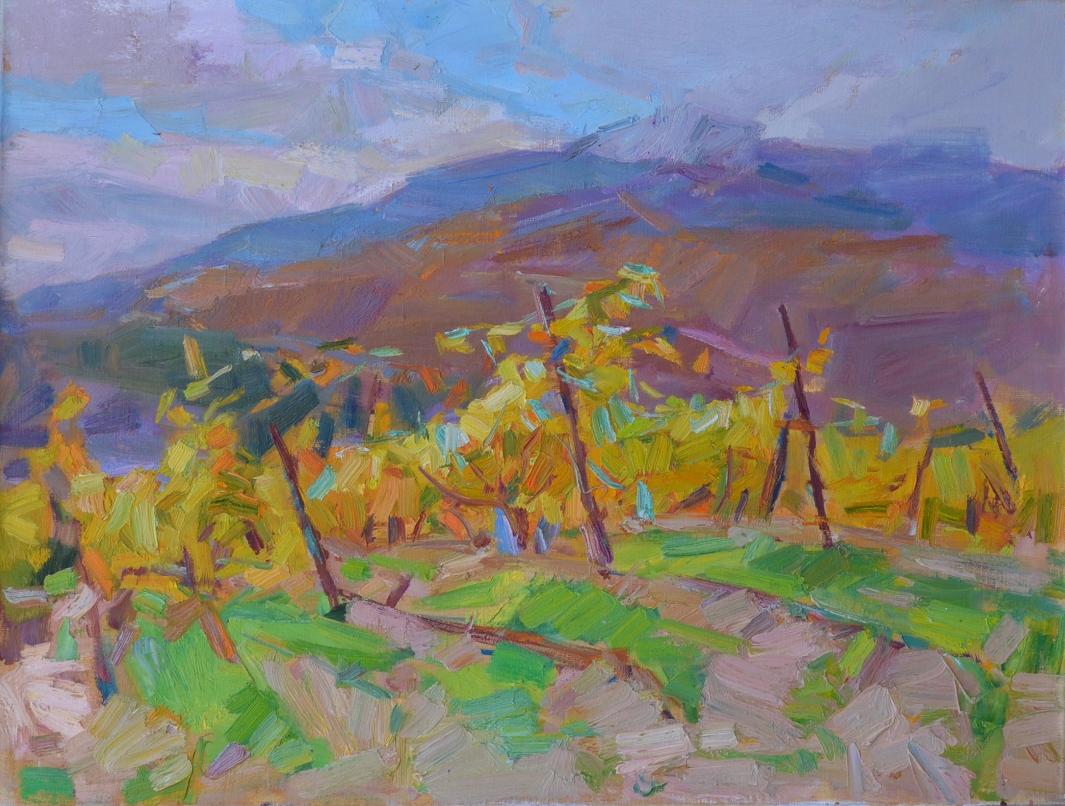 Pereta Vyacheslav, Autumn vineyards Pereta Vyacheslav, Autumn vineyards