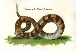 Print, Sonner au bon numéro, Thierry Robert