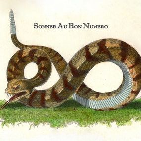 Print, Sonner au bon numéro, Thierry Robert
