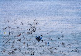 Photography, Flow pass19_4505, Yasuo Kiyonaga