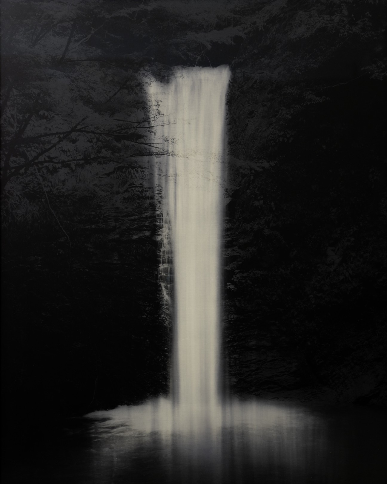 Naohiro Ninomiya, Shirataki Naohiro Ninomiya, Shirataki