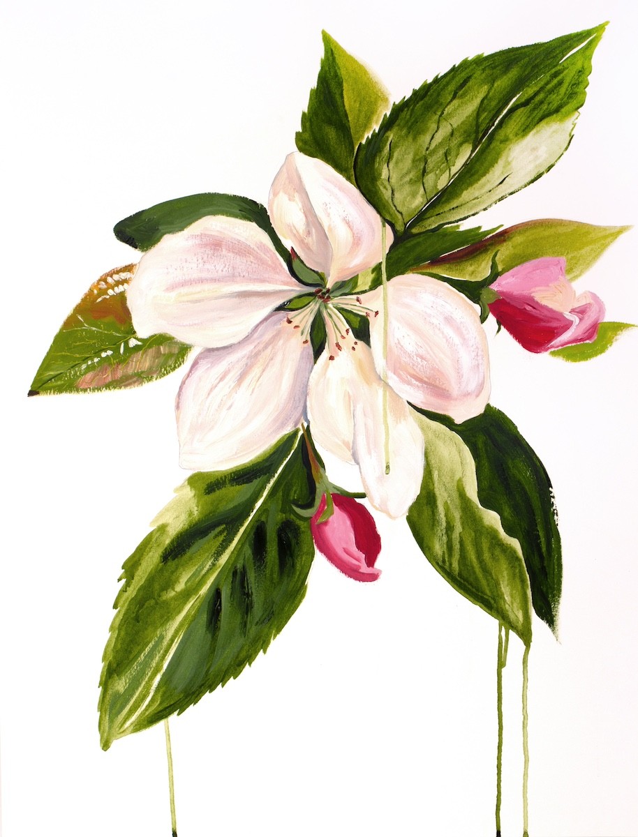 Elizabeth Becker, Cherry Blossom No. 40 Elizabeth Becker, Cherry Blossom No. 40
