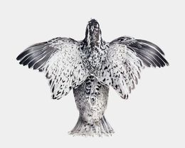 Photographie, Snowflake Bobwhite Quail in Flight (S), Randal Ford
