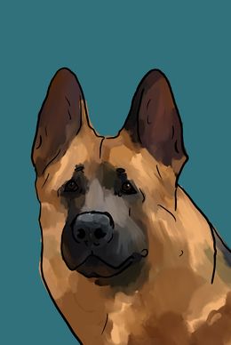 Peinture, German Shepherd Portrait, Sasha Fofanova