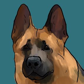 Gemälde, German Shepherd Portrait, Sasha Fofanova