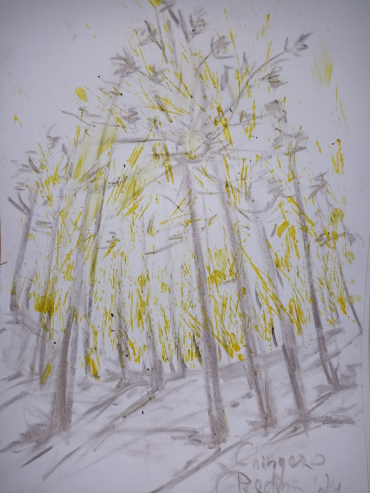 Kseniia Redina, Pines from Chinyero forest Kseniia Redina, Pines from Chinyero forest