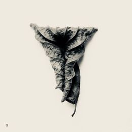 Photography, L'origine version noir et blanc, Thierry Robert