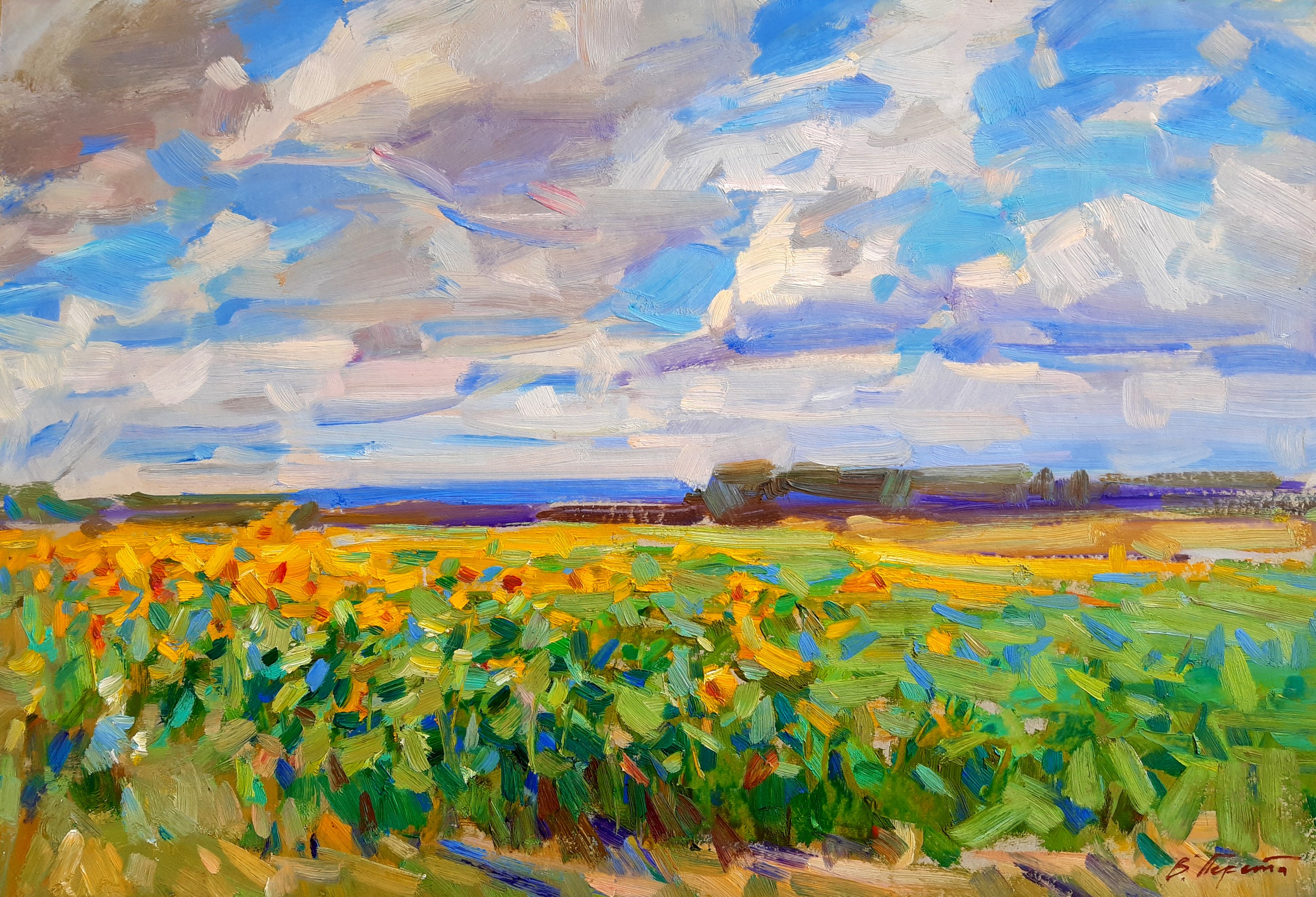 Pereta Vyacheslav, Field of sunflowers Pereta Vyacheslav, Field of sunflowers