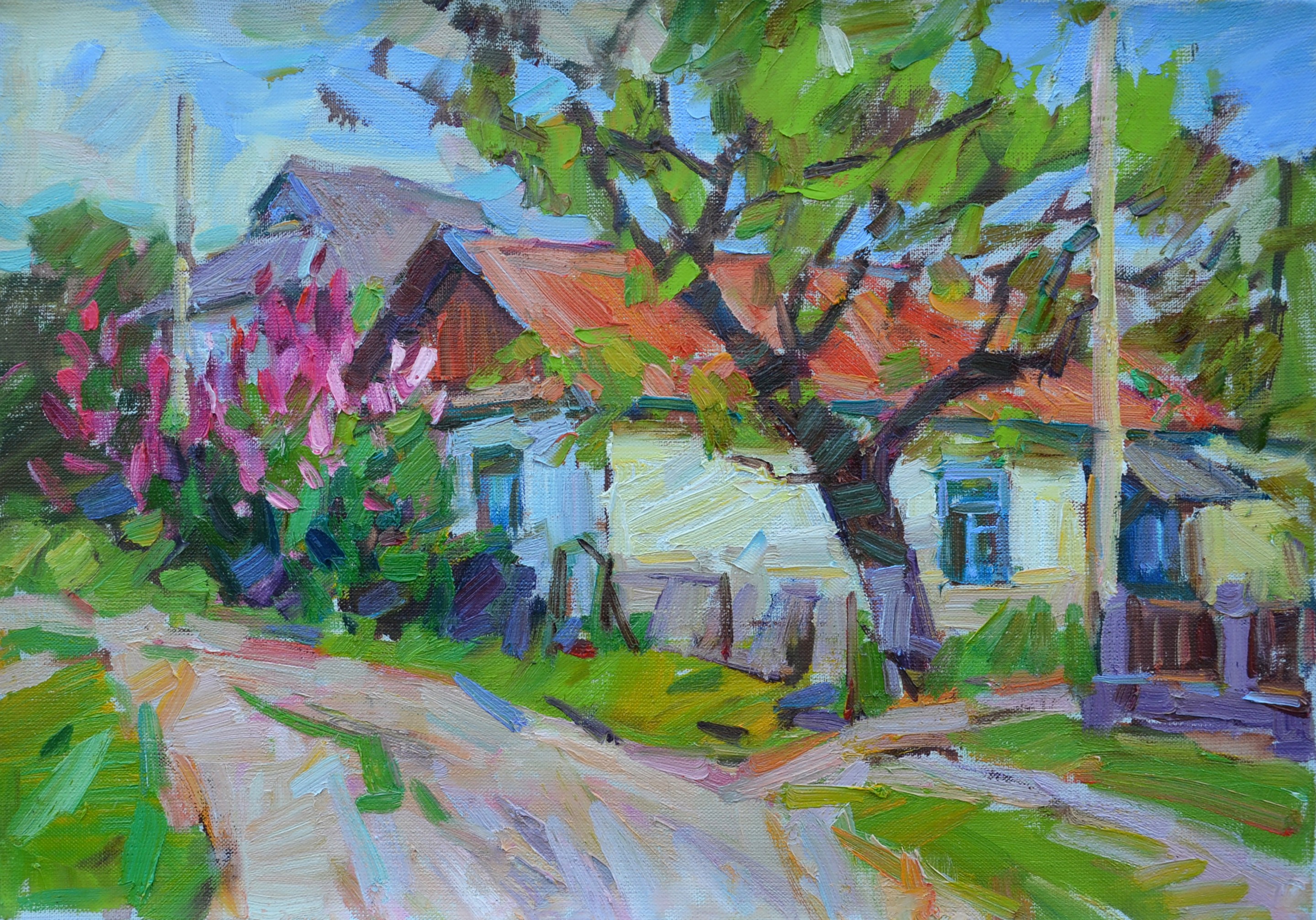 Pereta Vyacheslav, Village street Pereta Vyacheslav, Village street