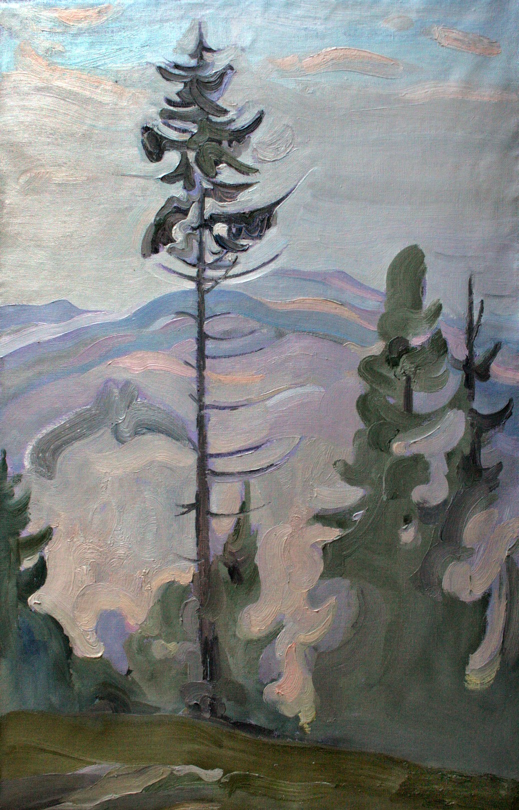Pavlenko Leonid, Spruce Pavlenko Leonid, Spruce