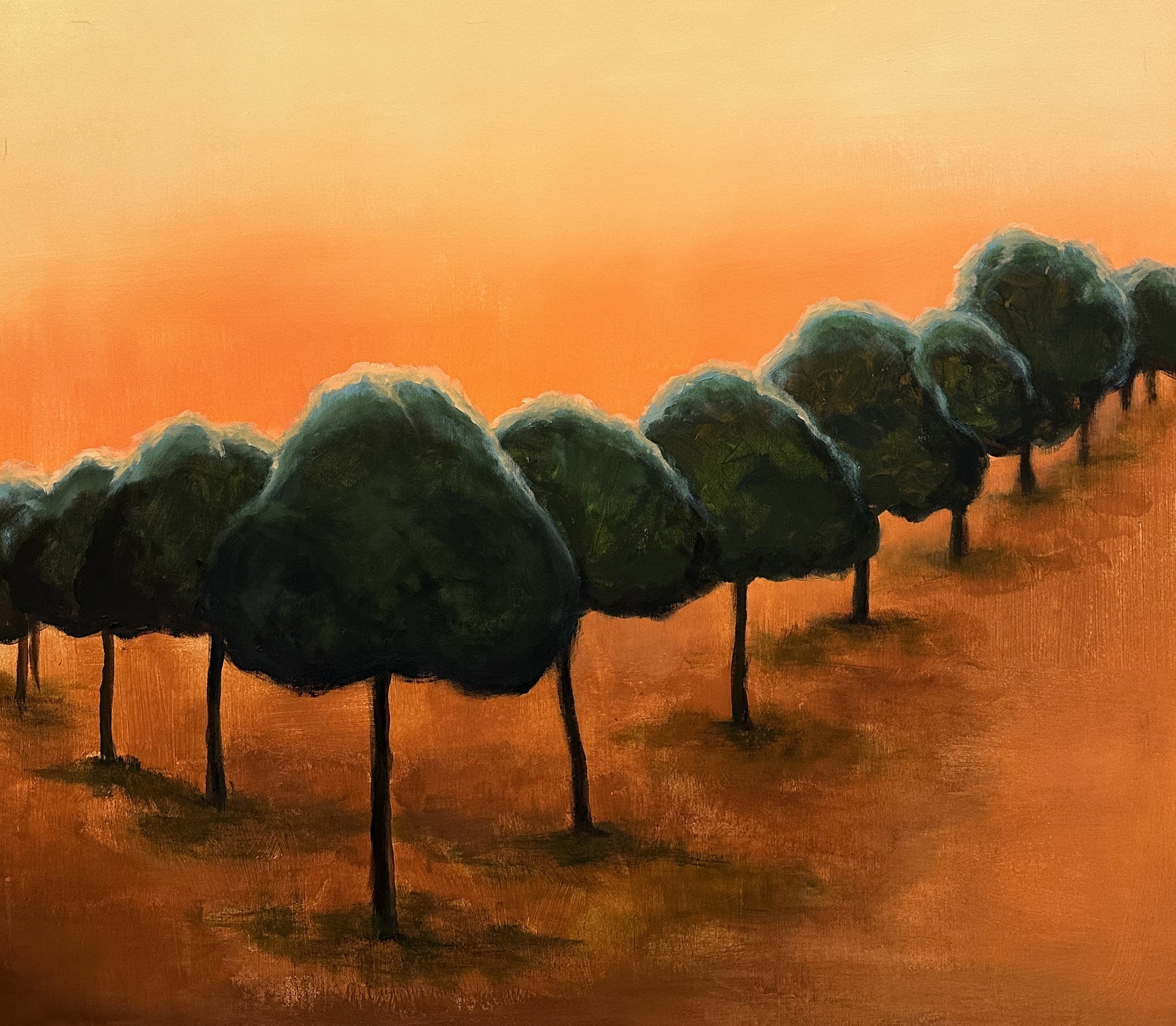Iryna Bondar, Beginning to shine. Pine trees. Iryna Bondar, Beginning to shine. Pine trees.