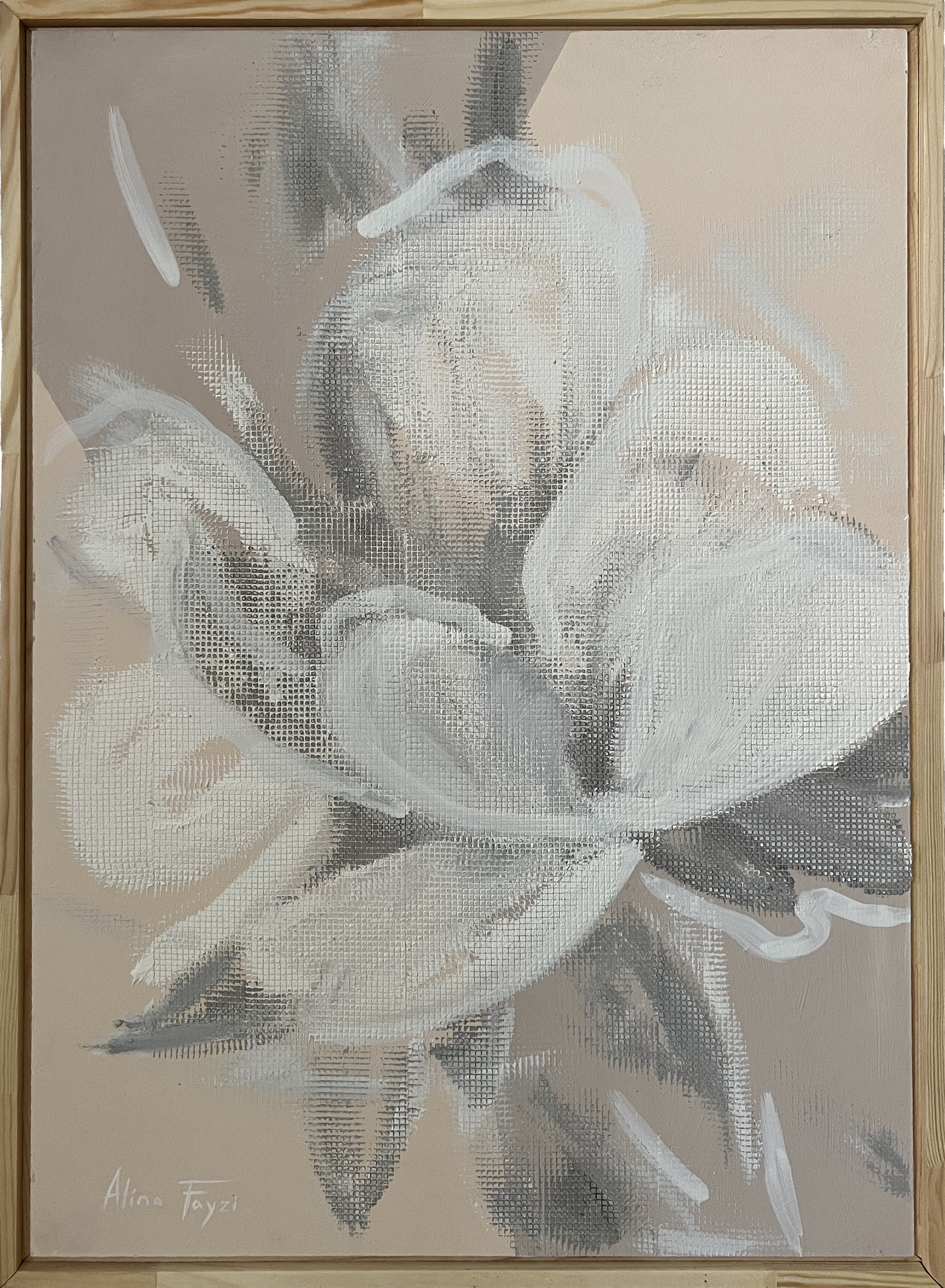 Alina Fayzi, Magnolia flover Alina Fayzi, Magnolia flover