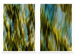 Photography, Aqueduct, Angela Cameron