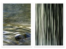 Photography, Distinction, Angela Cameron