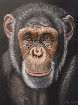 Painting, The Gaze of Chimpanzee, Tigran Araqelyan