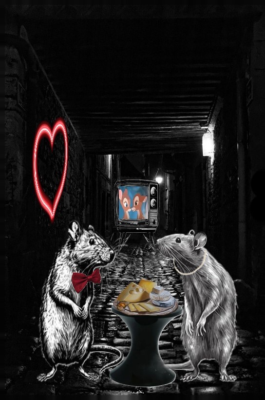 Pseako, L'amour partout Pseako, L'amour partout