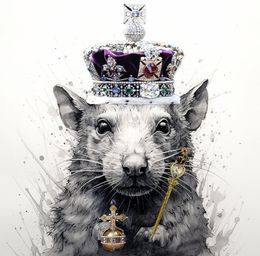 Drucke, Rat queen, Pseako