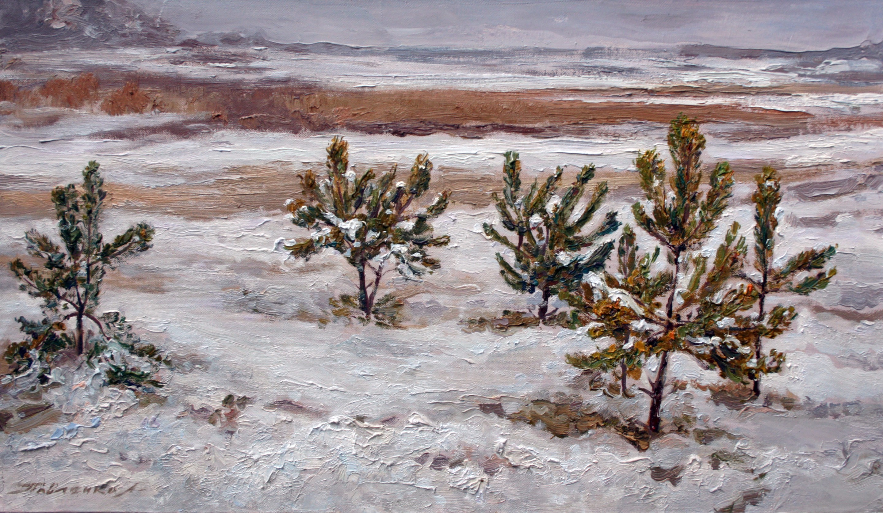 Pavlenko Leonid, Young Pines Pavlenko Leonid, Young Pines