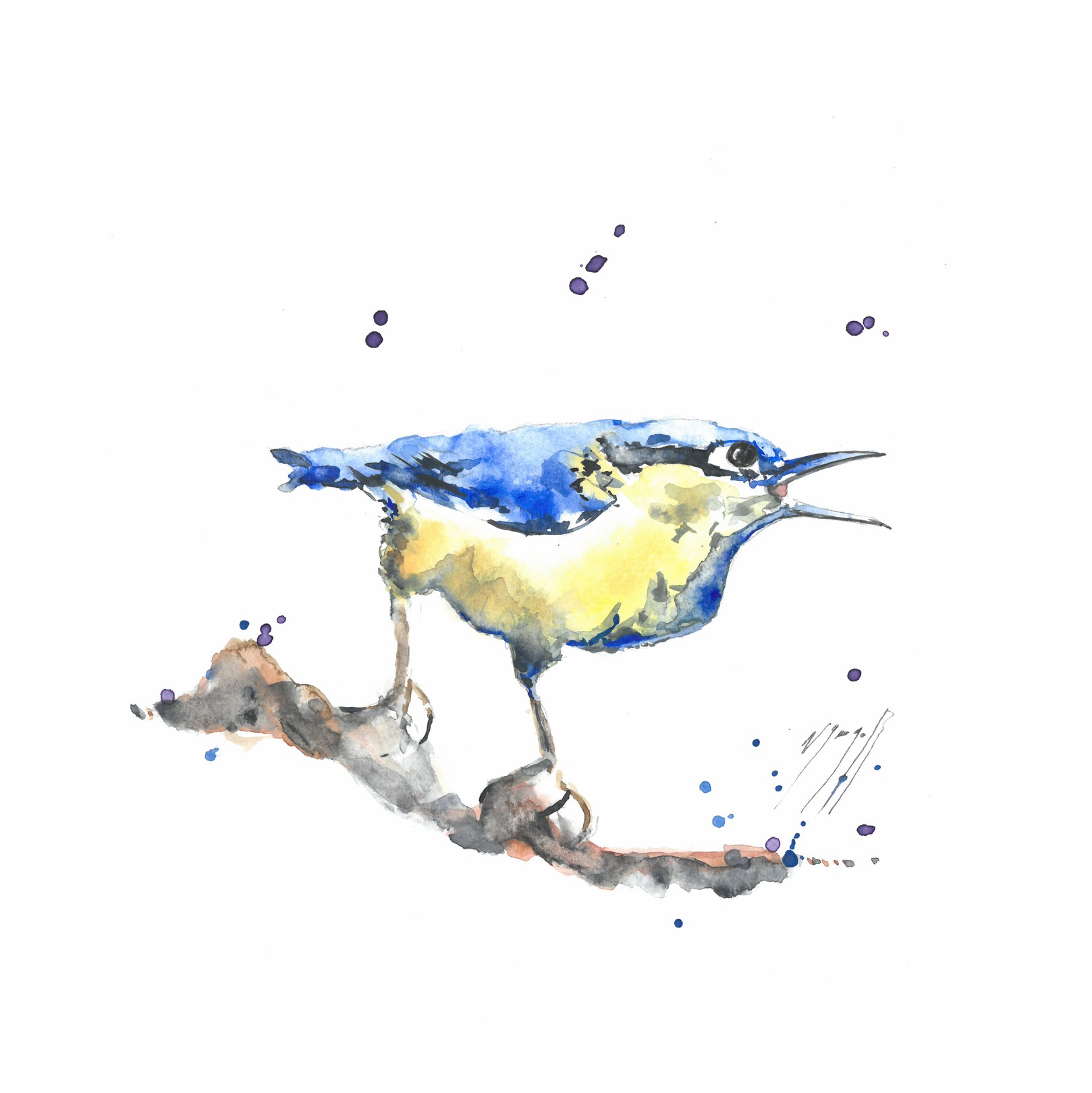 Noël Granger, Notre oiseau magique ! Noël Granger, Notre oiseau magique !